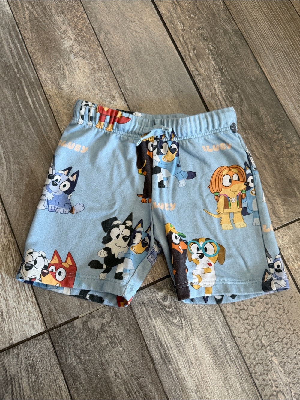 H&M Light Blue Cartoon Puppy Lounge Shorts